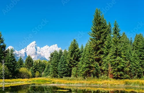 Tableau sur toile The Teton Mountain Range at Schwabacher Landing in Grand Teton National Park in
