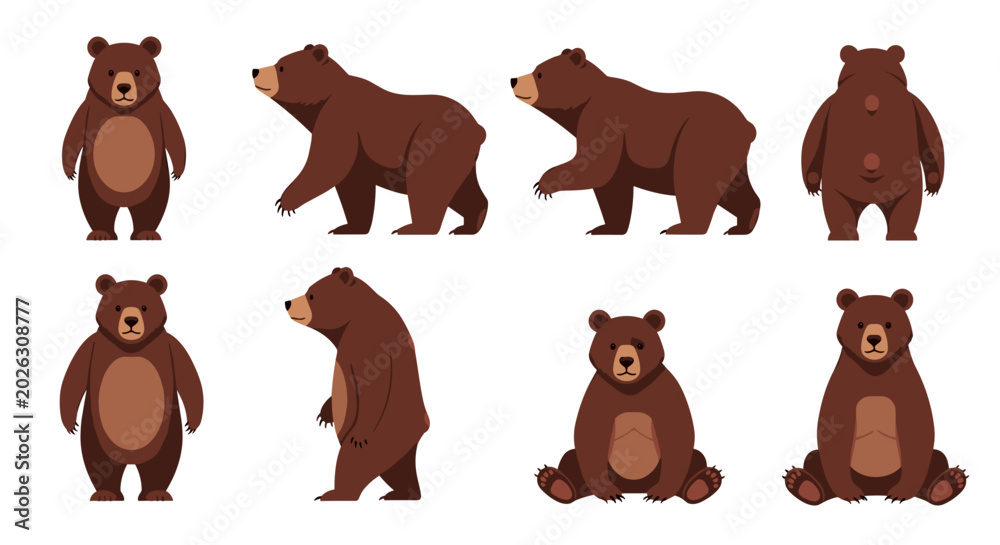 Fototapeta premium Collection of brown bear illustrations in various poses and angles for design