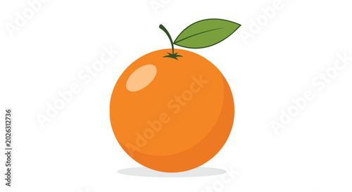 Fresh ripe orange fruit with green leaf illustration isolated on white background