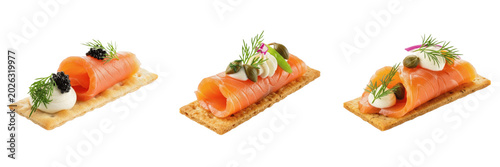 Fotografie Set and collection of delicious salmon canape appetizer snack isolated on white