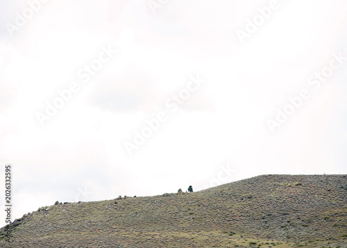 Desert landscape, minimalist view with trees on top. Bright cloudy sky.