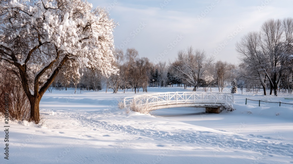 Fototapeta premium Serene Winter Landscape with Snow-Covered Trees and Bridge in Tranquil Park Setting