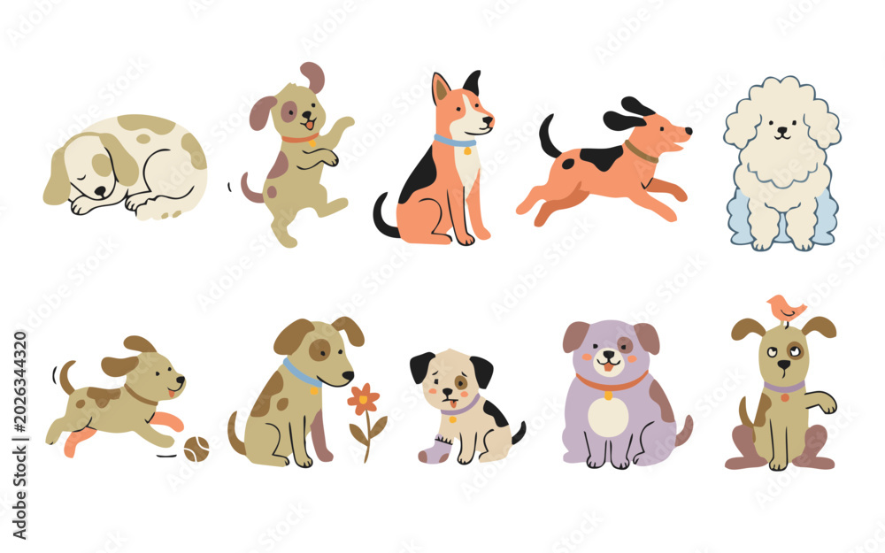 Fototapeta premium group of dogs