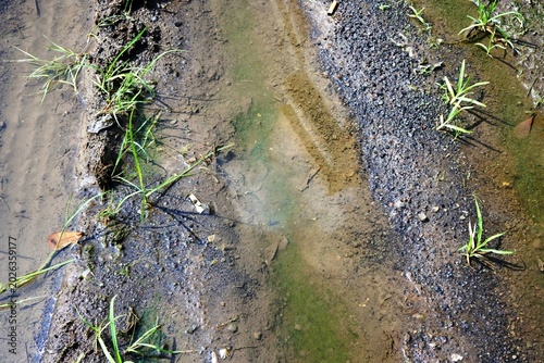 The shadow of part of building in puddle of water in outdoor area on bright day