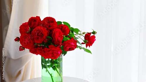リビングの窓際に飾る真っ赤な薔薇