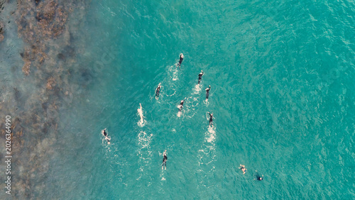 Bild auf Leinwand Aerial View of Swimmers Training in Turquoise Water Near Port Campbell