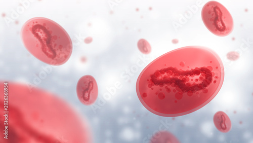 Fotografi Blood cells carry infectious parasites in bloodstream during microscopic medical analysis