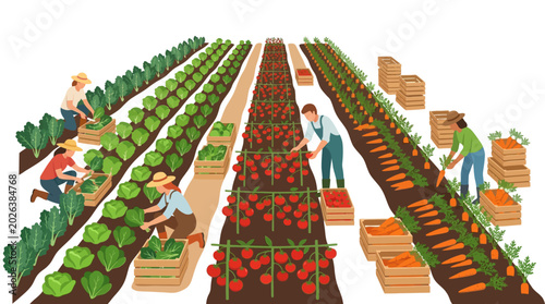 Tableau sur toile Illustration of people harvesting vegetables and fruits in a farm field, showcas