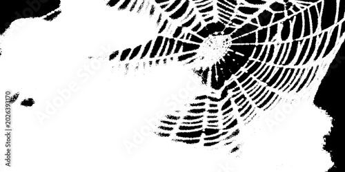 Intricate spider web pattern against a dark background, delicate silk threads forming a geometric circular structure, high contrast macro photography isolated on transparent background