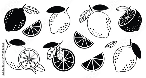 Set of different leaves and sliced fruits black and white icons isolated on white background, Vector