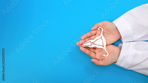 Bild auf Leinwand Caring medical professional holding white uterus symbol for patient safety progr