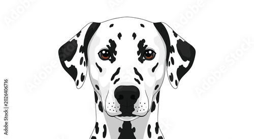 Foto Front view portrait of a beautiful white Dalmatian dog with characteristic black spots and brown eyes on a white background