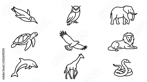 Photography Minimalist wild animal line icons, set of 9 black outline zoo animal vectors, mo