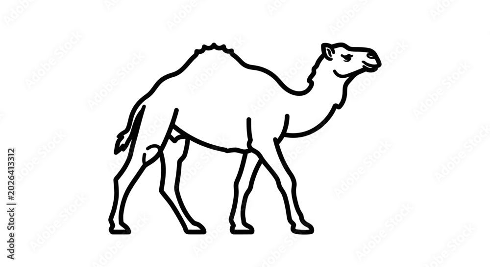 Fototapeta premium Camel side view outline vector illustration isolated on white background. Desert animal dromedary walking linear icon.