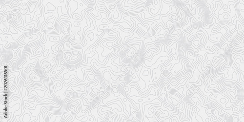 Foto Abstract Relief Contour Pattern
Detailed Cartographic Map Texture Inspired by Na