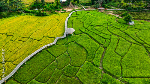 Known as Boon Ko Ku So Bridge, this traditional bamboo walkway winds through beautiful stepped rice fields and is crowned at its center by a red roofed temple pavilion, offering a picturesque rest 