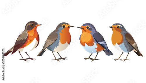 Bild auf Leinwand set of European robin birds clipart vector illustration