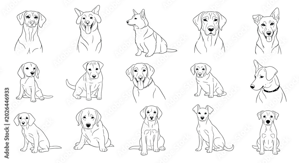 Obraz premium Extensive set of black and white line art sketches depicting various dog breeds in sitting and portrait poses.