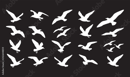 Bild auf Leinwand A collection of white silhouettes showcasing seagulls and sea birds in various stages of flight, isolated on a solid black background