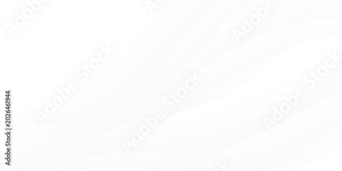 Canvas Print Abstract white and gray background