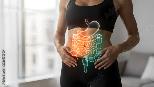 Digestive System Gut Health Wellness Illustration