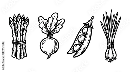 Konstfotografi Delicious organic garden vegetables in retro engraving style for nutritious life