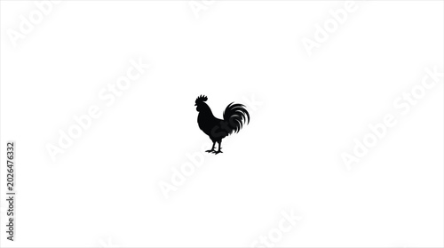 Fotografie silhouette of a roster