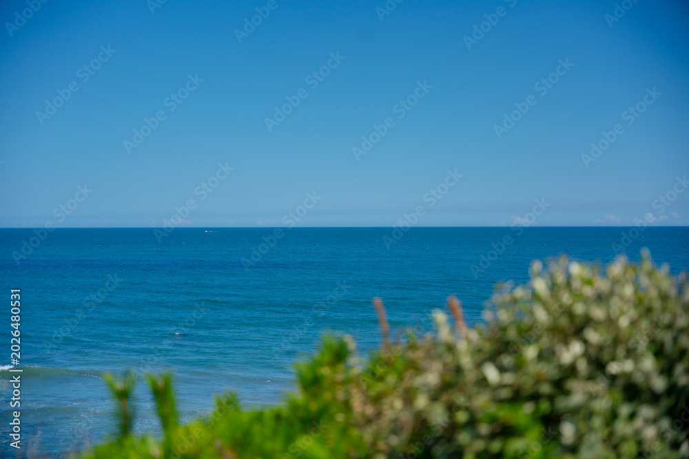 Fototapeta premium 青い海と空、夏の風景