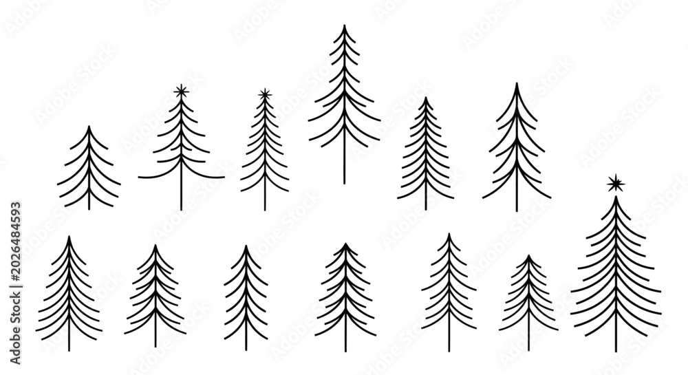 Fototapeta premium Three Majestic Pine Trees Standing Tall in a Misty Forest