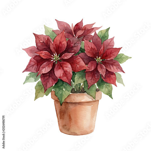 A watercolor illustration of a festive poinsettia plant in a terracotta pot, perfect for holiday and Christmas decorations