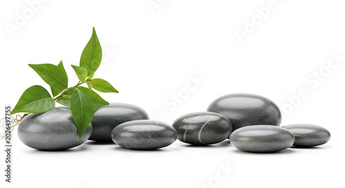 Smooth Black Spa Stones with Green Leaf Arranged on White Background