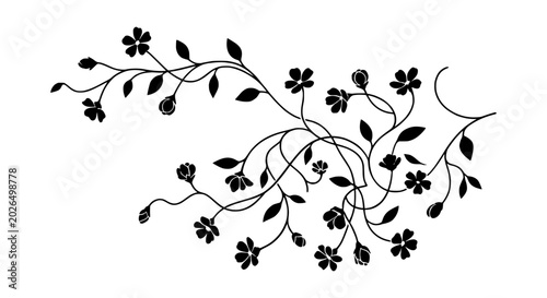 Delicate floral vine with small blossoms in silhouette against a white background vector illustration