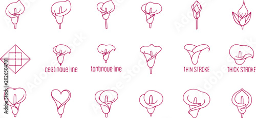 Bild auf Leinwand Elegant Calla Lily Flower Collection: Delicate Line Art Illustrations for Floral Designs, Simple Graphics