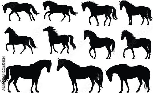 Fotografia Graceful horse silhouettes in diverse poses including walking, trotting, standin