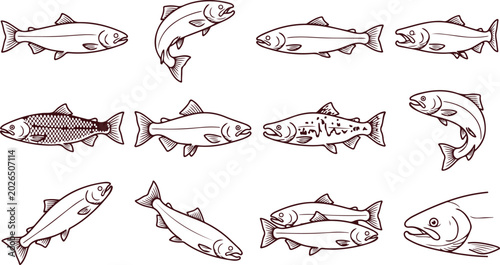 Canvastavla Collection of realistic fish illustrations, various species and poses, isolated on transparent background