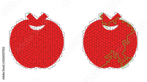 Schilderij op canvas Red apple shows two states: whole, then cracked