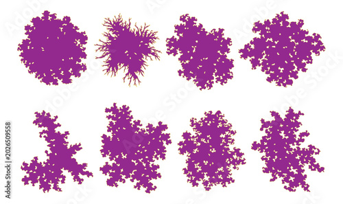 Tableau sur toile Purple tree top view silhouettes, set of 8 flat vector plant icons for landscape