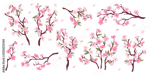 Sakura branches. Cherry blossom twigs, decorative spring botanical elements with pink delicate flowers, japanese plant, flying petals, vibe, almonds, plums for graphic design, tidy vector set
