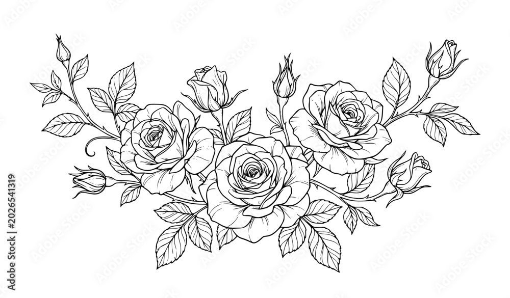 Fototapeta premium Elegant Rose Flower Bouquet Hand Drawn Illustration