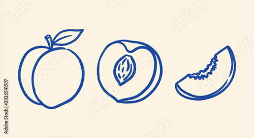 Cuadro en lienzo Minimalist peach fruit line art icons, blue hand drawn peach vector set, organic