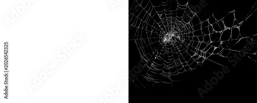 Foto Spooky spider web overlay for Halloween on transparent and black background