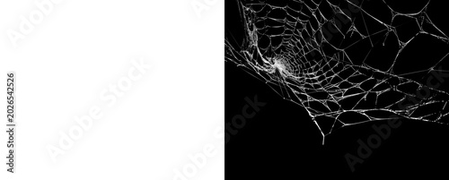 Photos Large messy cobweb spread isolated on transparent grid for overlays