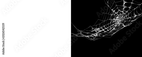 Foto Torn spider web fragment isolated on transparent background for art