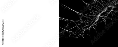 Canvastavla Broken glass texture with spider web cracks on transparent background
