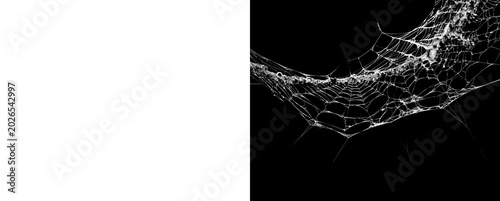 Photos Ornate corner spider web overlay for halloween spooky holiday decoration