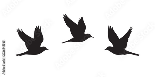 Konstfotografi Black Silhouette Set of Three Flying Birds in Motion