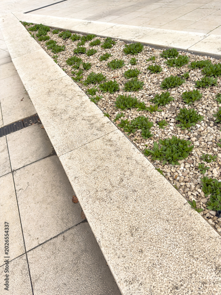 Obraz premium Concrete curb with greenery and white pebbles, clean urban garden edge