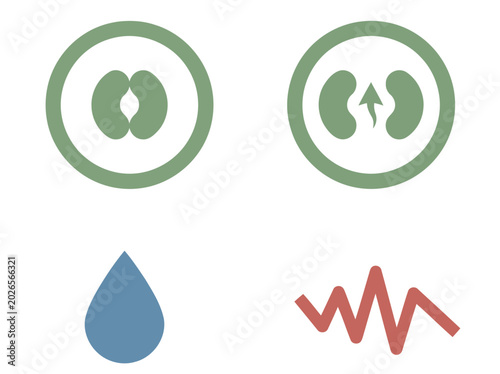 Photos Illustrates plant stomata function: closed pore, open evaporating pore, humidity droplet, and thermal stress wave