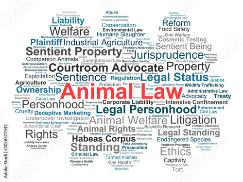 Tableau sur toile Animal Law Word Cloud