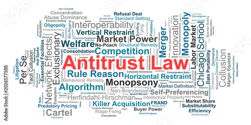 Photos Antitrust Law Word Cloud